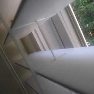 Meet your Posher, Jakevia